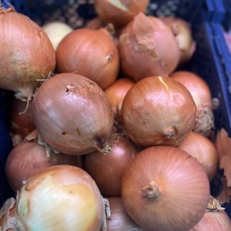 White Onion